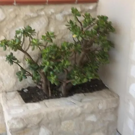 Il Giardino Del Casciar *